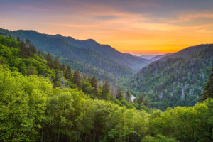 Newfound Gap