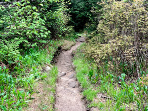 Mountain-to-Sea Trail