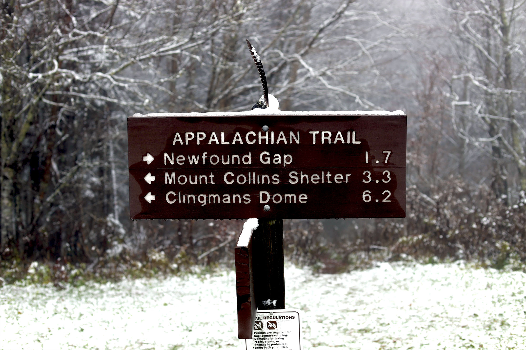 The First Smoky Mountain Snow of the 2021-22 Fall/Winter Season
