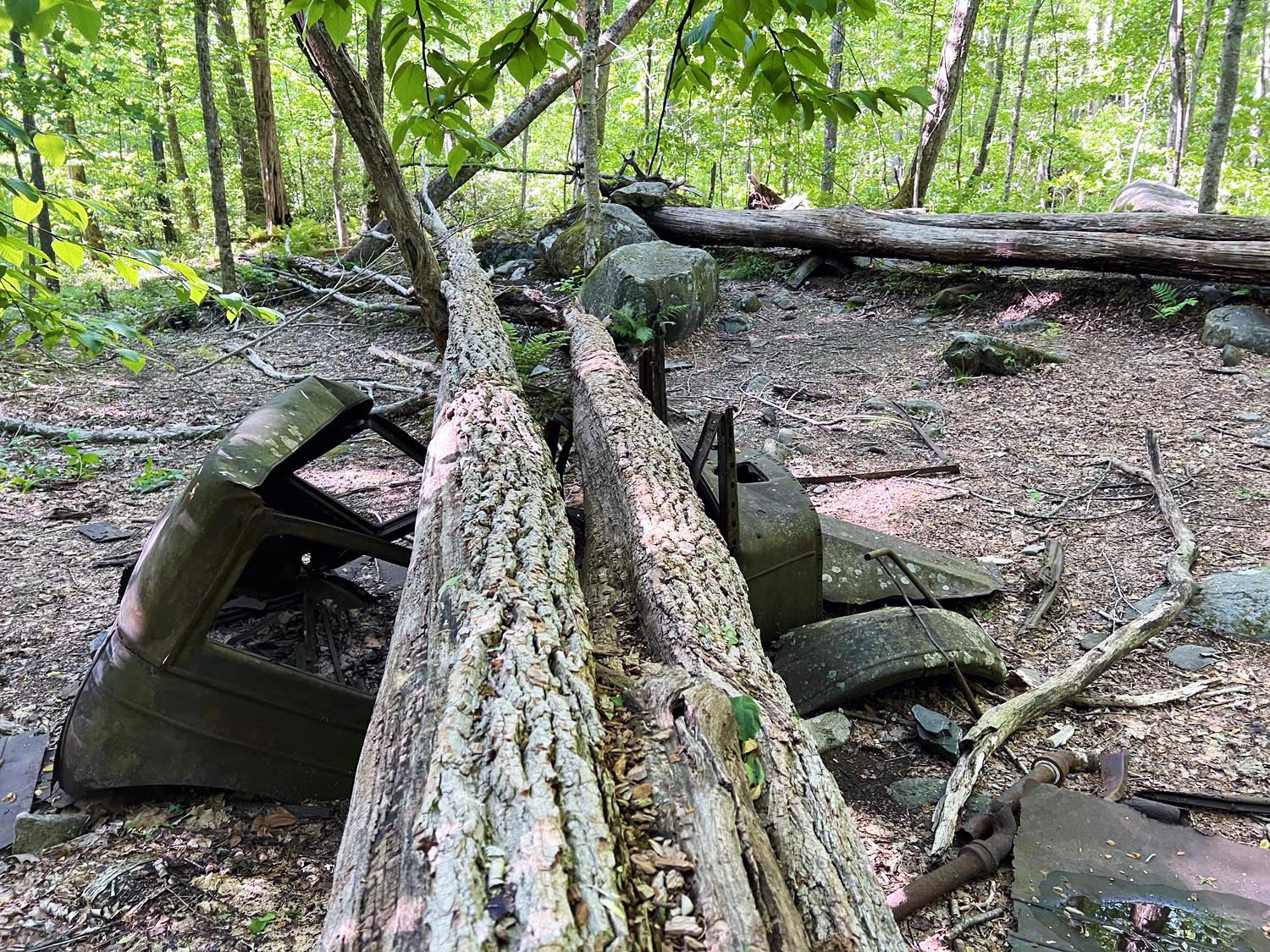Cadillacs and Waterfalls – Strange and Beautiful Things to Be Found on the Middle Prong Trail